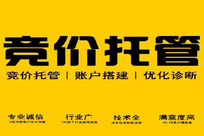 SEM代运营托管公司成功案例分析